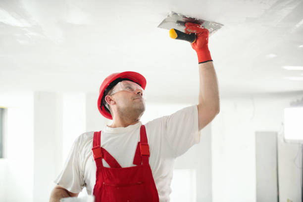 Best Water Damage & Mold Remediation  in Norwood, NY